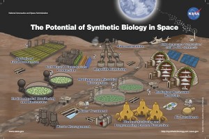 Syn-bio-igem-NASA-poster-final