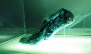 synthetic-biology-running-shoes